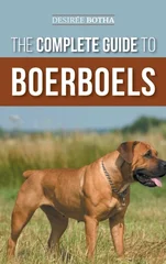 The Complete Guide to Boerboels