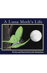 A Luna Moth's Life