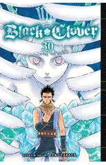 Black Clover, Vol. 30