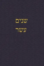 The Book of the Twelve