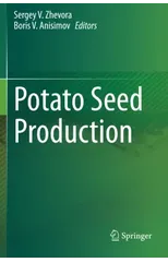Potato Seed Production