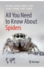 All You Need to Know About Spiders