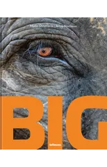 Big