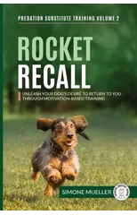 Rocket Recall