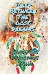 Sleep Between The Lost Dreams