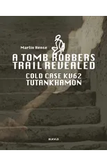 A tomb robbers' trail revealed