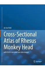 Cross-Sectional Atlas of Rhesus Monkey Head