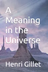A Meaning in the Universe