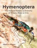 Hymenoptera