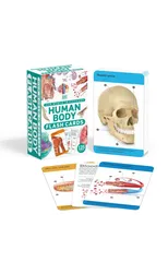 Our World in Pictures Human Body Flash Cards