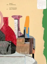 Seeing and Not Believing