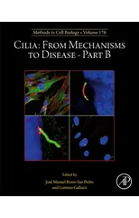 Cilia