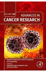 Epigenetic Regulation of Cancer in Response to Chemotherapy