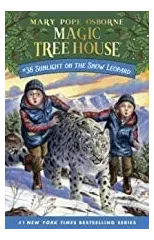 Sunlight on the Snow Leopard