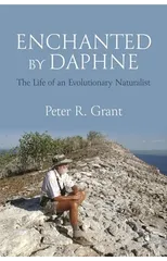 Enchanted by Daphne