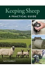 Keeping Sheep