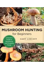 Mushroom Hunting for Beginners