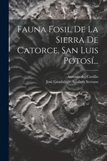 Fauna Fosil De La Sierra De Catorce, San Luis Potosi...