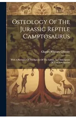 Osteology Of The Jurassic Reptile Camptosaurus