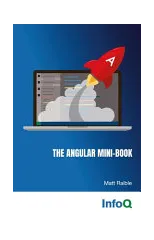 The Angular Mini-Book
