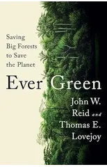 Ever Green