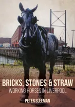 Bricks, Stones and Straw