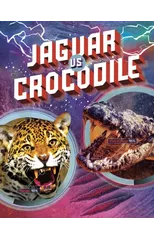 Jaguar vs Crocodile