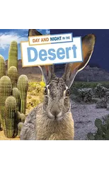 Day and Night in the Desert