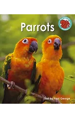 Parrots