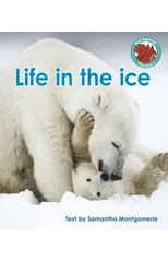 Life in the ice