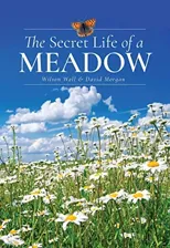 The Secret Life of a Meadow