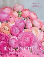 Ranuculus