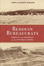 Bedouin Bureaucrats