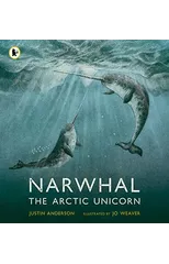 Narwhal