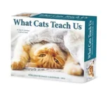 What Cats Teach Us 2024 6.2 X 5.4 Box Calendar