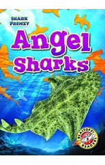 Angel Sharks