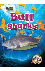 Bull Sharks