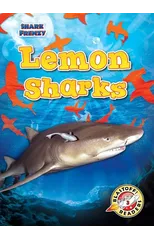 Lemon Sharks