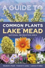 A Guide to Common Plants of Lake Mead National Recreation Area