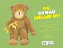Pa Synau Welwn Ni?