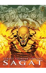 Street Fighter Origins