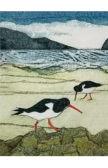 Wild Birds Pocket Notebook