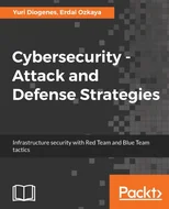 Cybersecurity – Attack and Defense Strategies