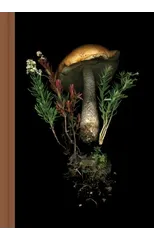 Deep Dark Forest Mushroom Journal