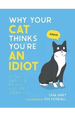 Why Your Cat Thinks You're an Idiot