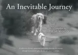 An Inevitable Journey