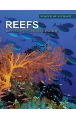 Reefs