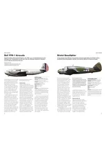 American Fighter Aircraft of World War II