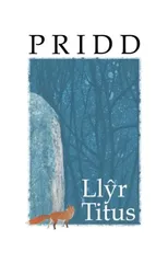 Pridd
