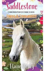 Saddlestone Connemara Pony Listening School | Sinead and Strawberry